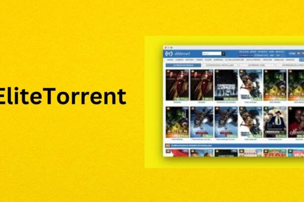 5 Best EliteTorrent Alternatives That Work & Are Safe in 2024